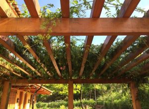 coberturas-de-madeira-para-jardins