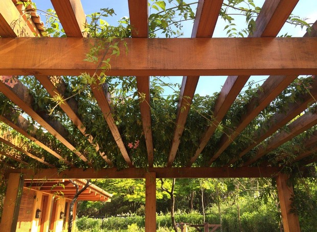 coberturas-de-madeira-para-jardins