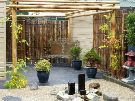 bambu para pergolado