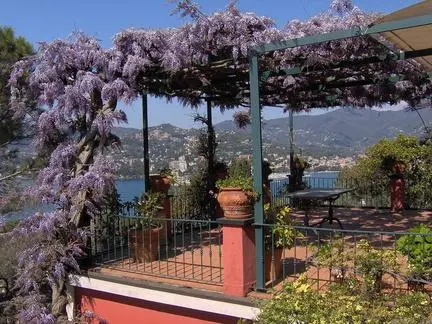 pérgola e glicínia
